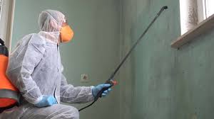  , USA Mold Remediation Pros